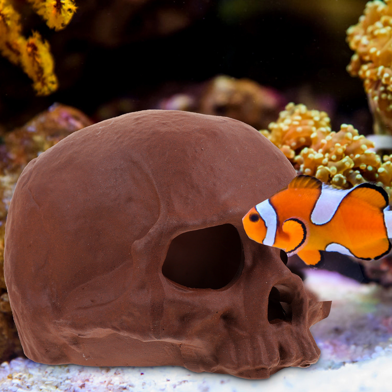 Hide Cave Ceramic - Ceramic Fish Tank Decoration Shrimp Cave