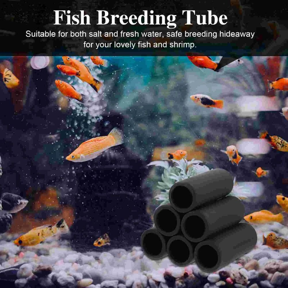 Playing Breeding Spawning Aqua - Hide Cave Ceramic 리뷰 및 가격