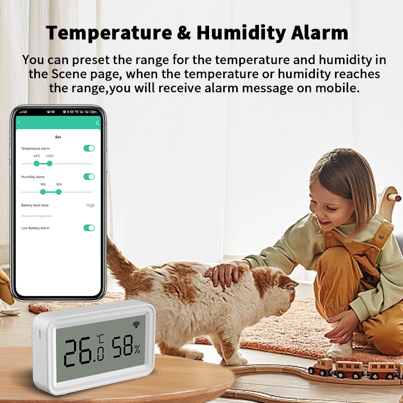 Tuya Zigbee WiFi Thermometer H - Digital Hygrometer Probe 리뷰 및 가격