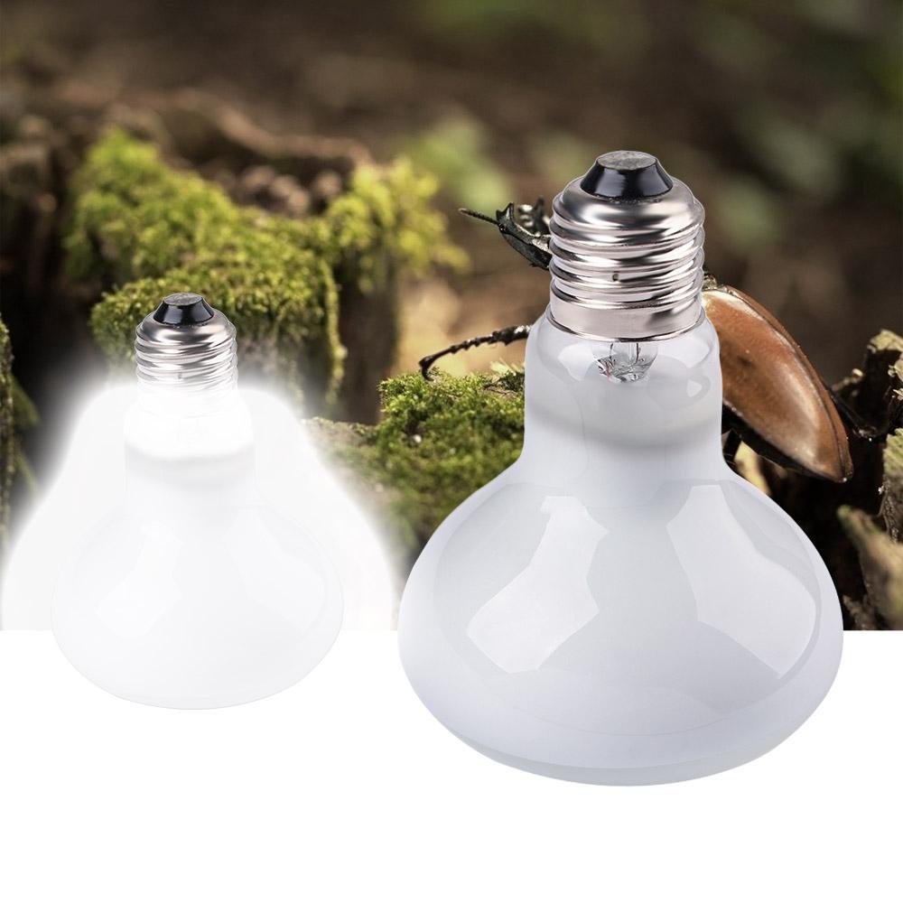 Lizard Temperature Controller  - Basking Bulb Halogen 리뷰 및 가격