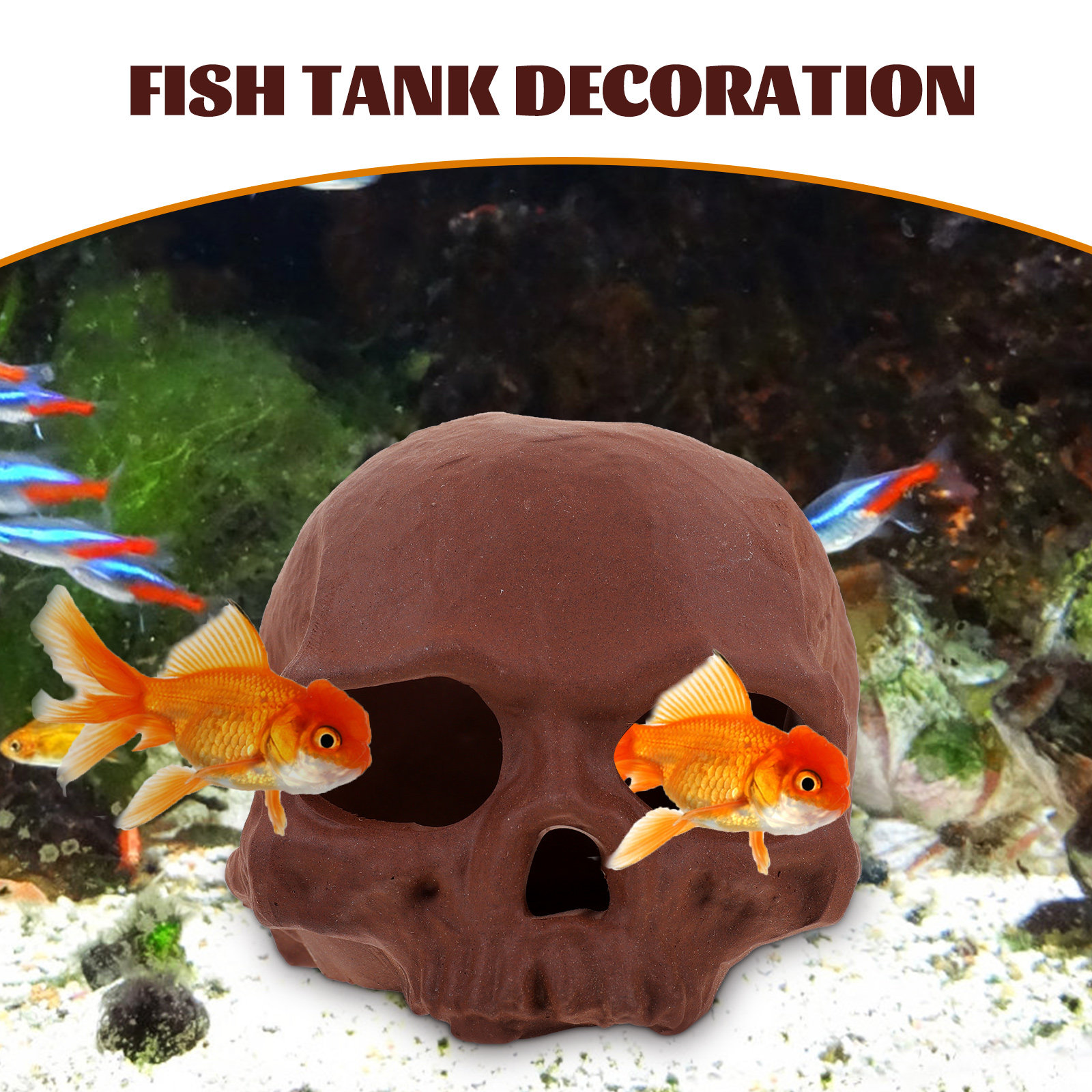 Ceramic Fish Tank Decoration S - Hide Cave Ceramic 리뷰 및 가격