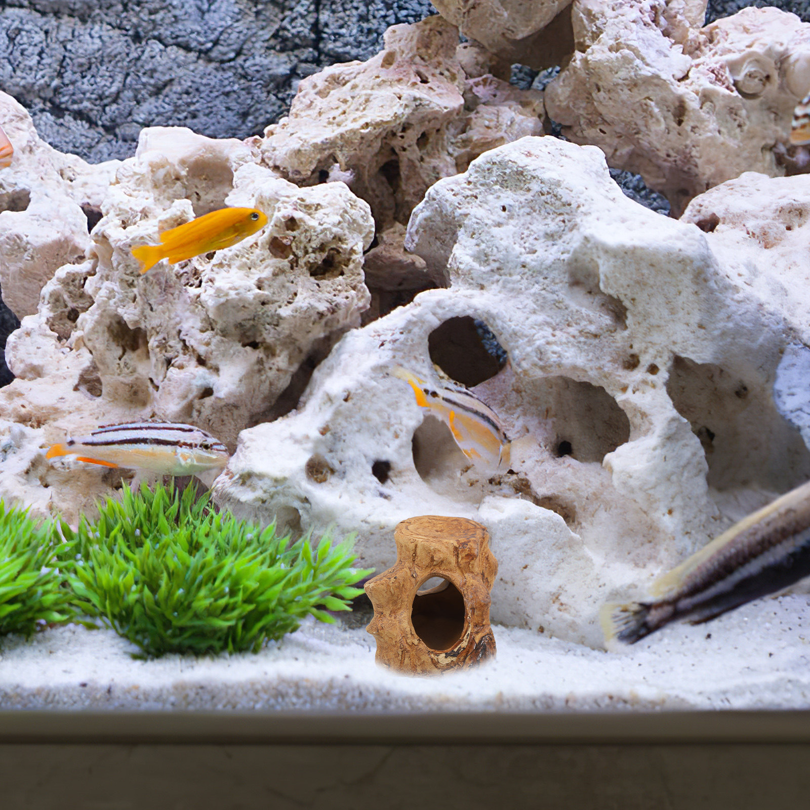 Smooth Ceramic Aquarium Caves  - Hide Cave Ceramic 리뷰 및 가격
