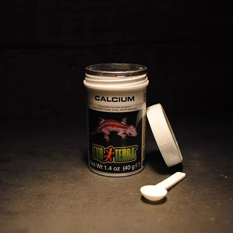HAGEN Reptile Calcium Powder W - Calcium Powder Reptile 리뷰 및 가격