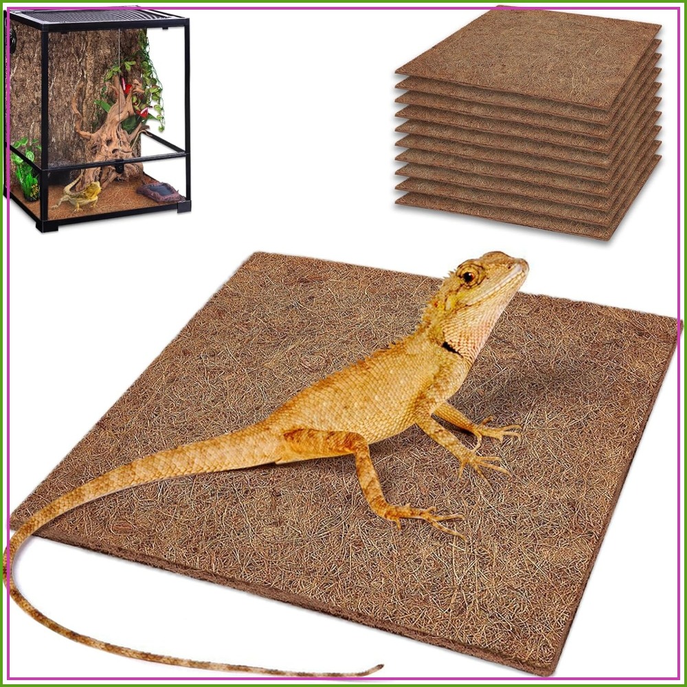 10 Pcs Natural Coconut Fiber R - Substrate Coconut Fiber 리뷰 및 가격