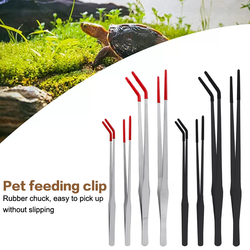 Stainless Steel Reptile Feedin - Feeding Tong Stainless 리뷰 및 가격