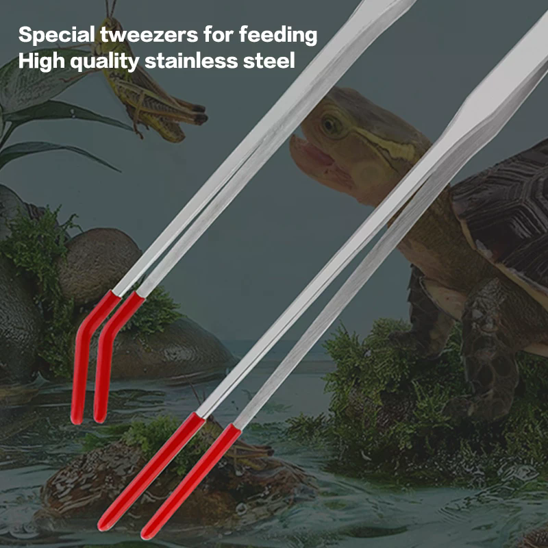 Stainless Steel Reptile Feedin - Feeding Tong Stainless 리뷰 및 가격