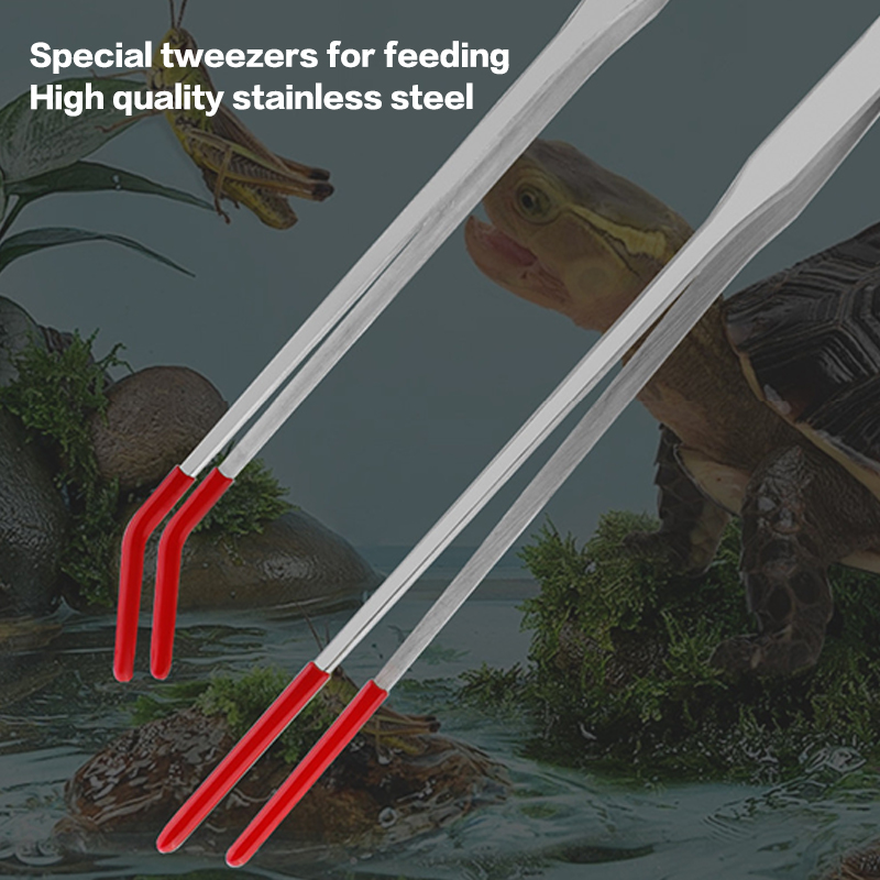 Stainless Steel Fish Tank Main - Feeding Tong Stainless 리뷰 및 가격