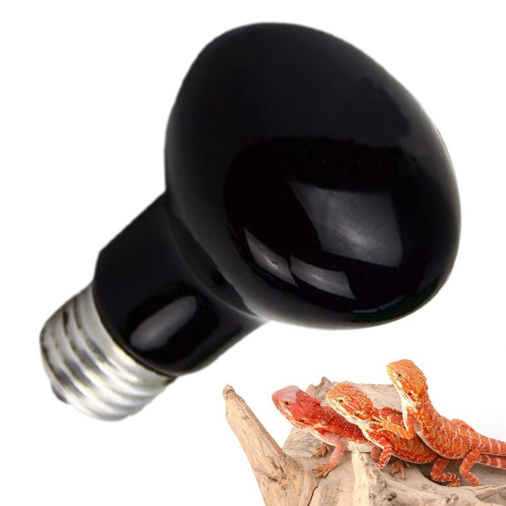 Infrared Led Pet Heating Lamp  - Ceramic Heat Emitter 리뷰 및 가격