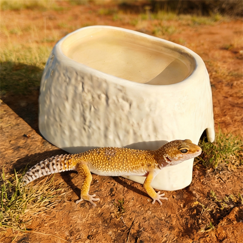 Ceramic Leopard Print Humid Hi - Hide Cave Ceramic 리뷰 및 가격