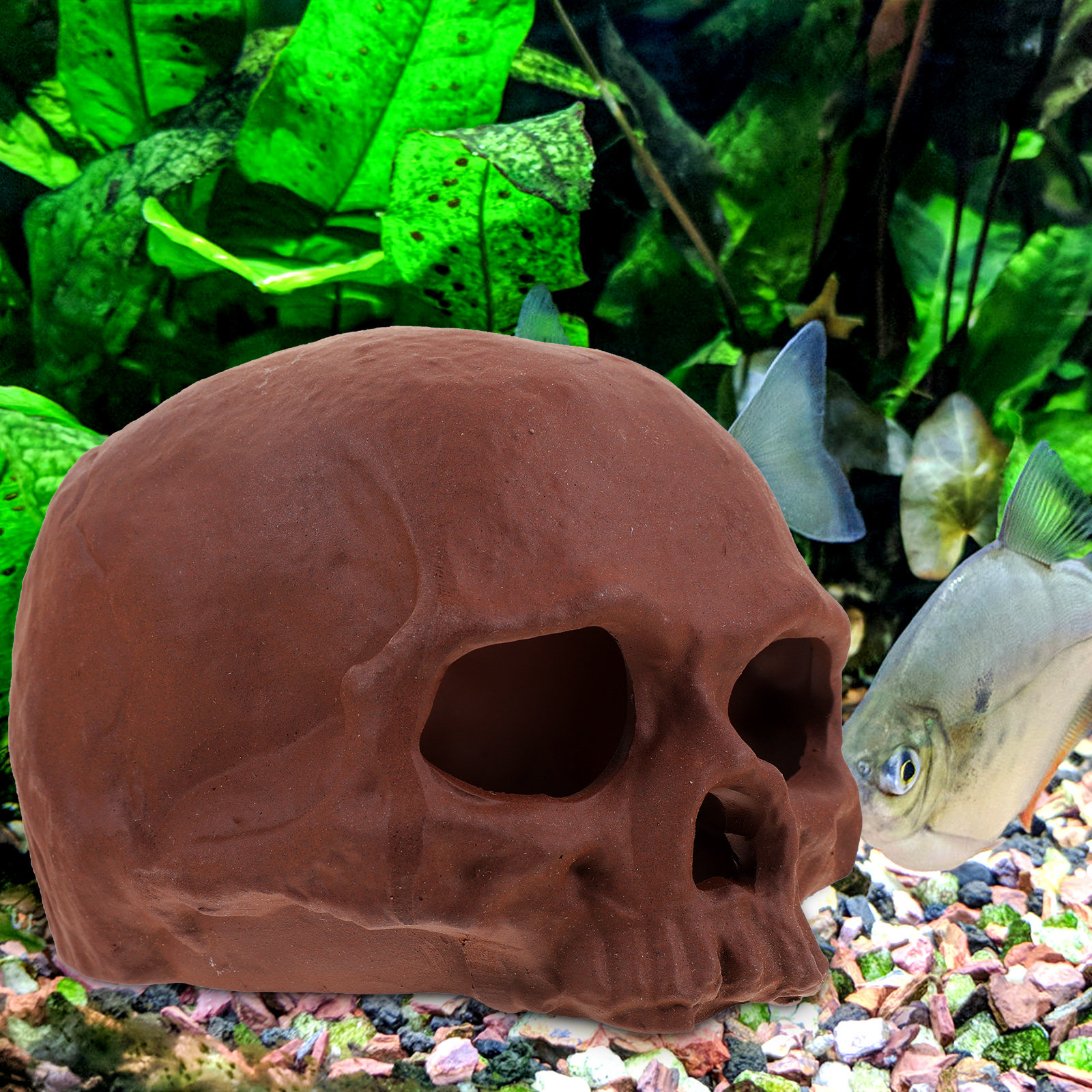 Ceramic Fish Tank Decoration S - Hide Cave Ceramic 리뷰 및 가격