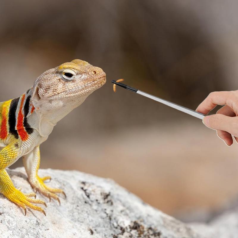 Extra Long Reptile Feeding Ton - Feeding Tong Stainless 리뷰 및 가격