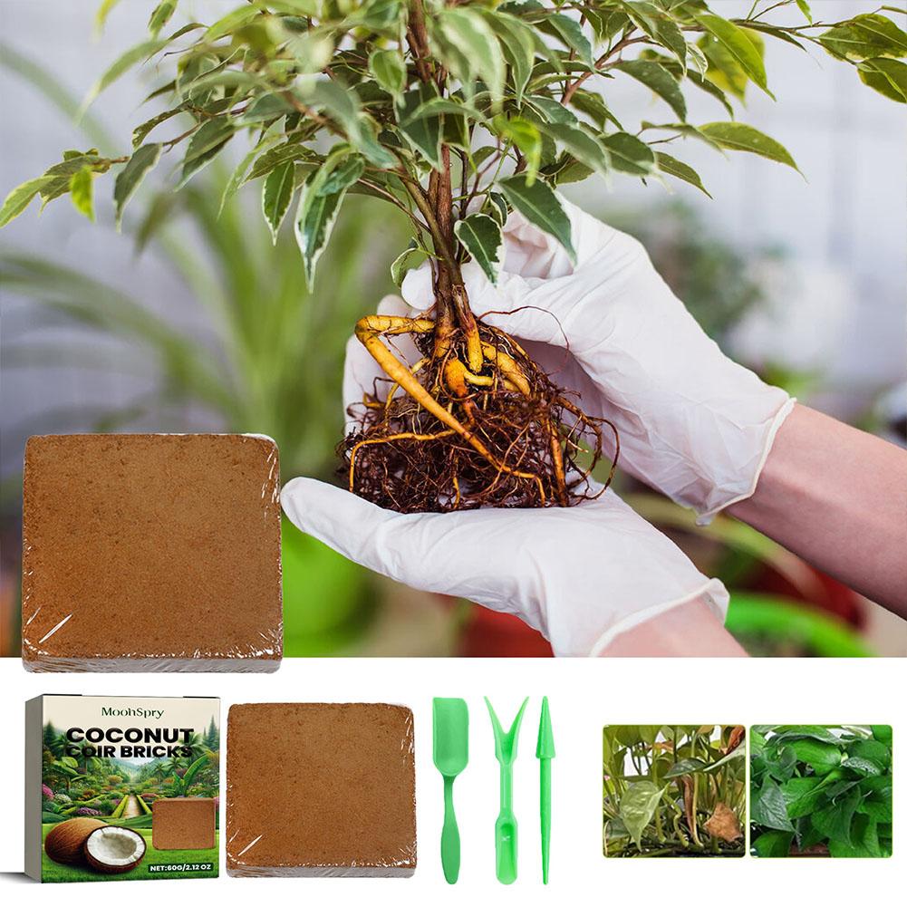 Coconut Coir Fiber Brick - Org - Substrate Coconut Fiber 리뷰 및 가격