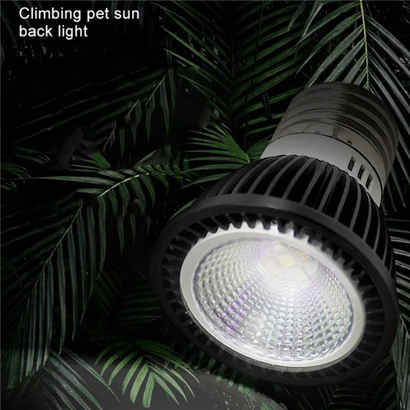 A03F-5X 110V Reptile UVB Light - Calcium Powder Reptile 리뷰 및 가격