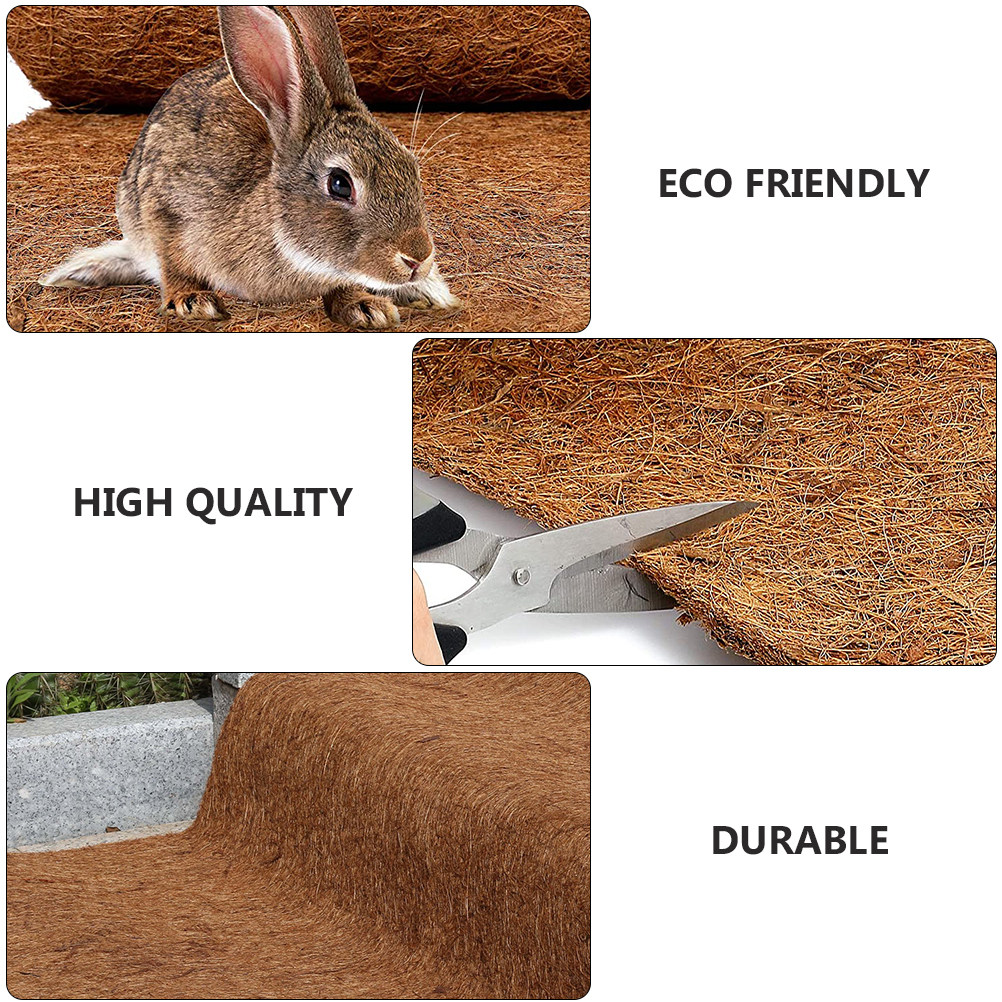 1Pcs Reptile Coconut Fiber Car - Substrate Coconut Fiber 리뷰 및 가격