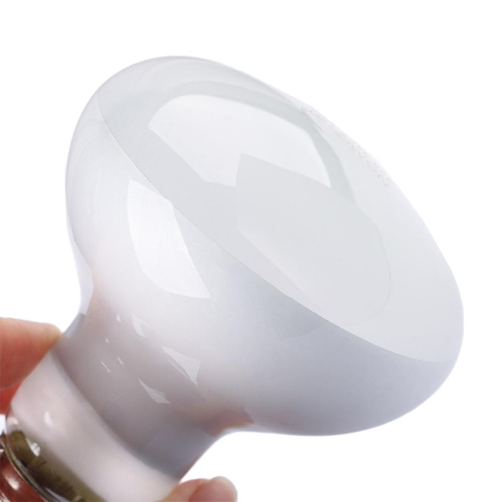 Turtle Heater Temperature Cont - Basking Bulb Halogen 리뷰 및 가격