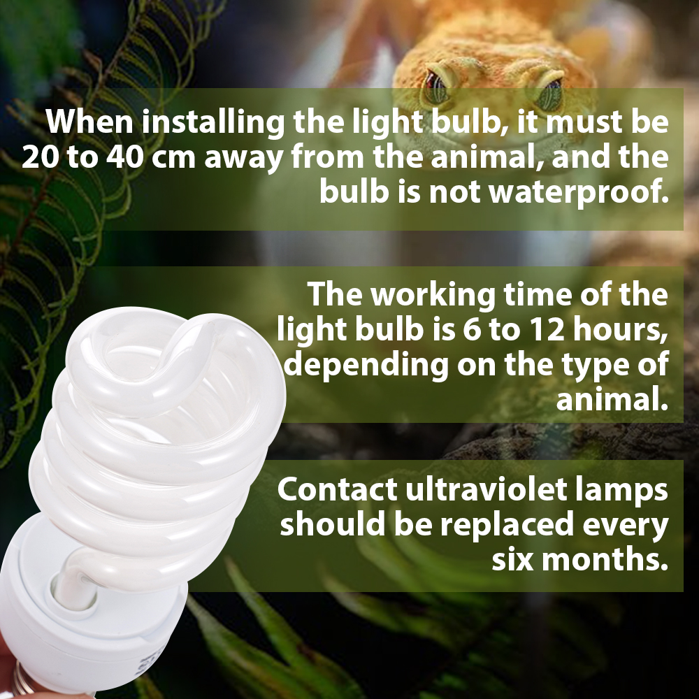 26W Pet Box Lamp Calcium Suppl - Calcium Powder Reptile 리뷰 및 가격