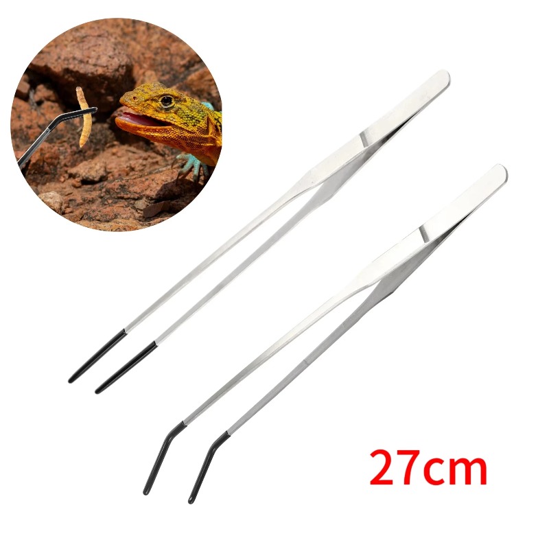 2Pcs Stainless Steel Tweezers  - Feeding Tong Stainless 리뷰 및 가격