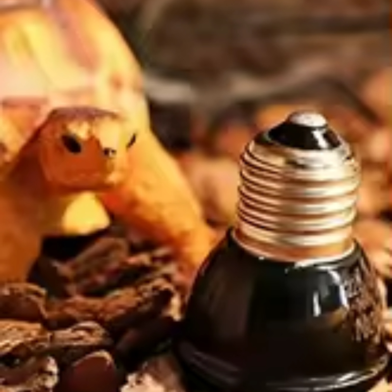 Reptile Ceramic Heat Emitter M - Ceramic Heat Emitter 리뷰 및 가격