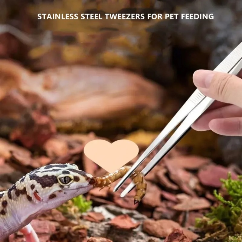 Stainless Multifuctional Steel - Feeding Tong Stainless 리뷰 및 가격