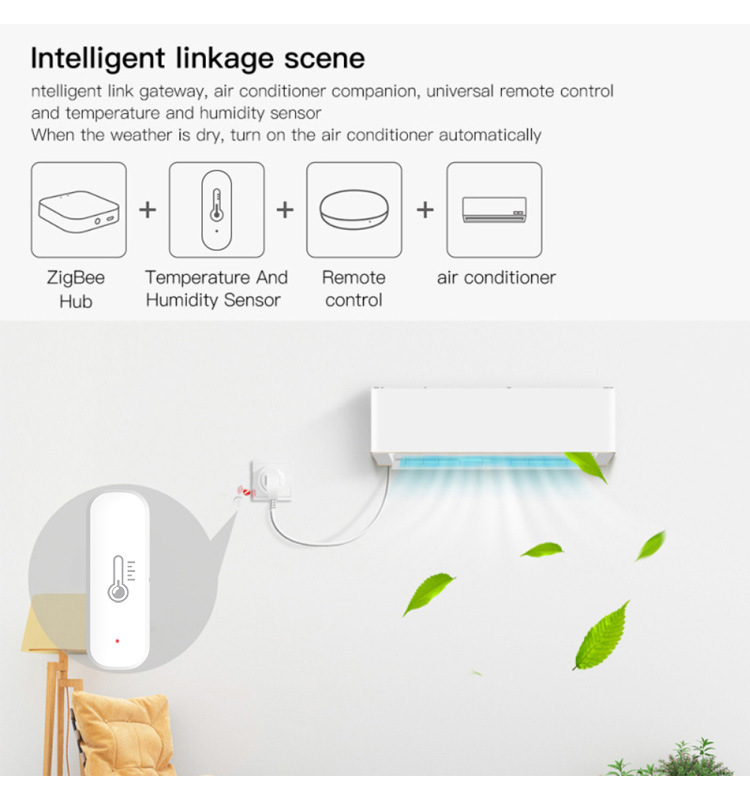 eWeLink Smart ZigBee Temperatu - Digital Hygrometer Probe 리뷰 및 가격
