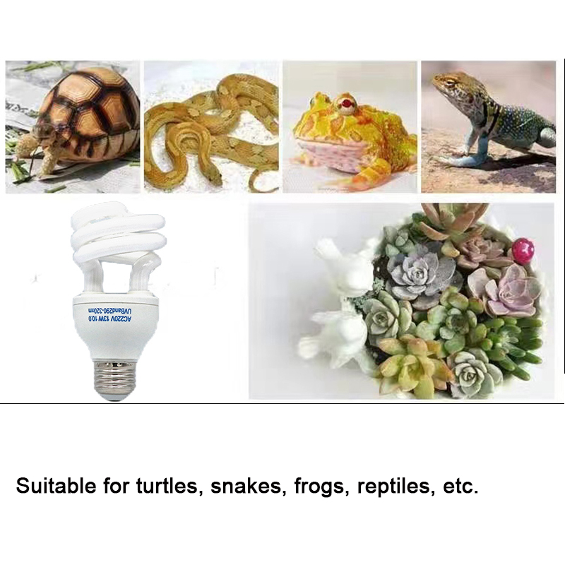 E27 13W/26W Reptile Uvb Lamp   - Calcium Powder Reptile 리뷰 및 가격