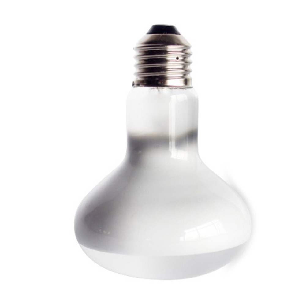 Lizard Heater Temperature Cont - Basking Bulb Halogen 리뷰 및 가격