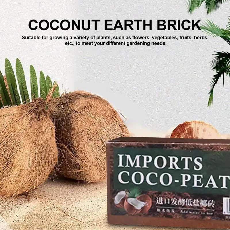 Reptile Coconut Soil Natural C - Substrate Coconut Fiber 리뷰 및 가격