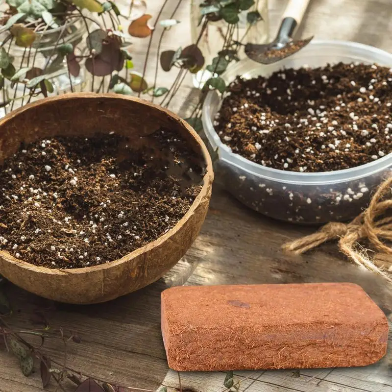 Reptile Coconut Soil Natural C - Substrate Coconut Fiber 리뷰 및 가격
