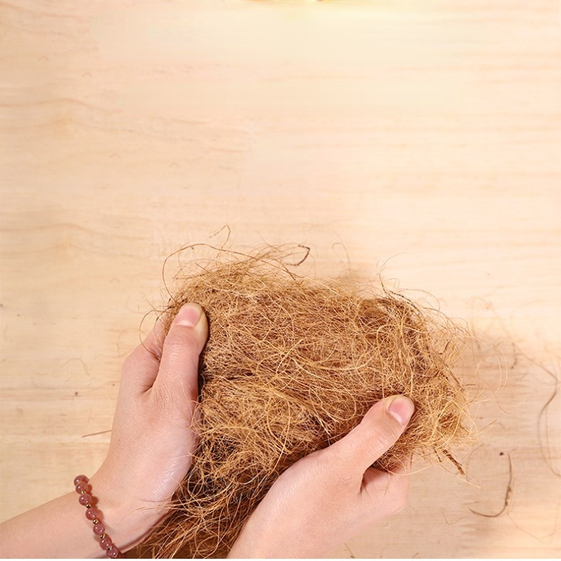100g Finch Coconut Fiber Loose - Substrate Coconut Fiber 리뷰 및 가격