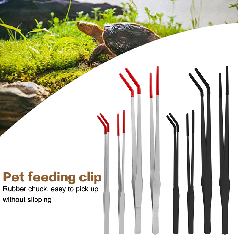 Stainless Steel Reptile Feedin - Feeding Tong Stainless 리뷰 및 가격