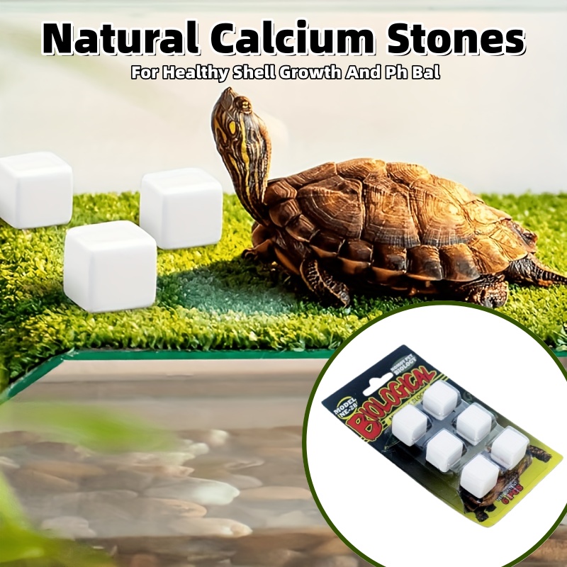 6 Pcs Fish Tank Calcium Block  - Calcium Powder Reptile 리뷰 및 가격