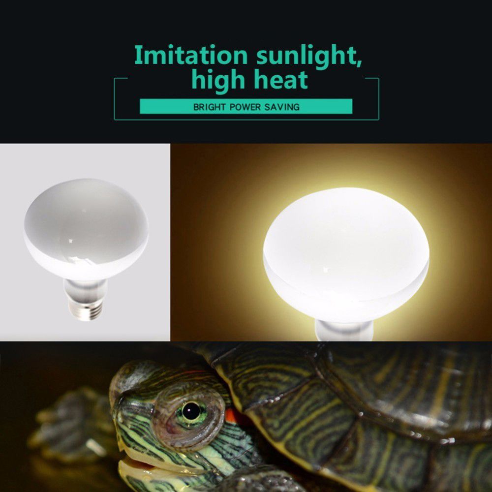Amphibians Heat Lamp Temperatu - Basking Bulb Halogen 리뷰 및 가격
