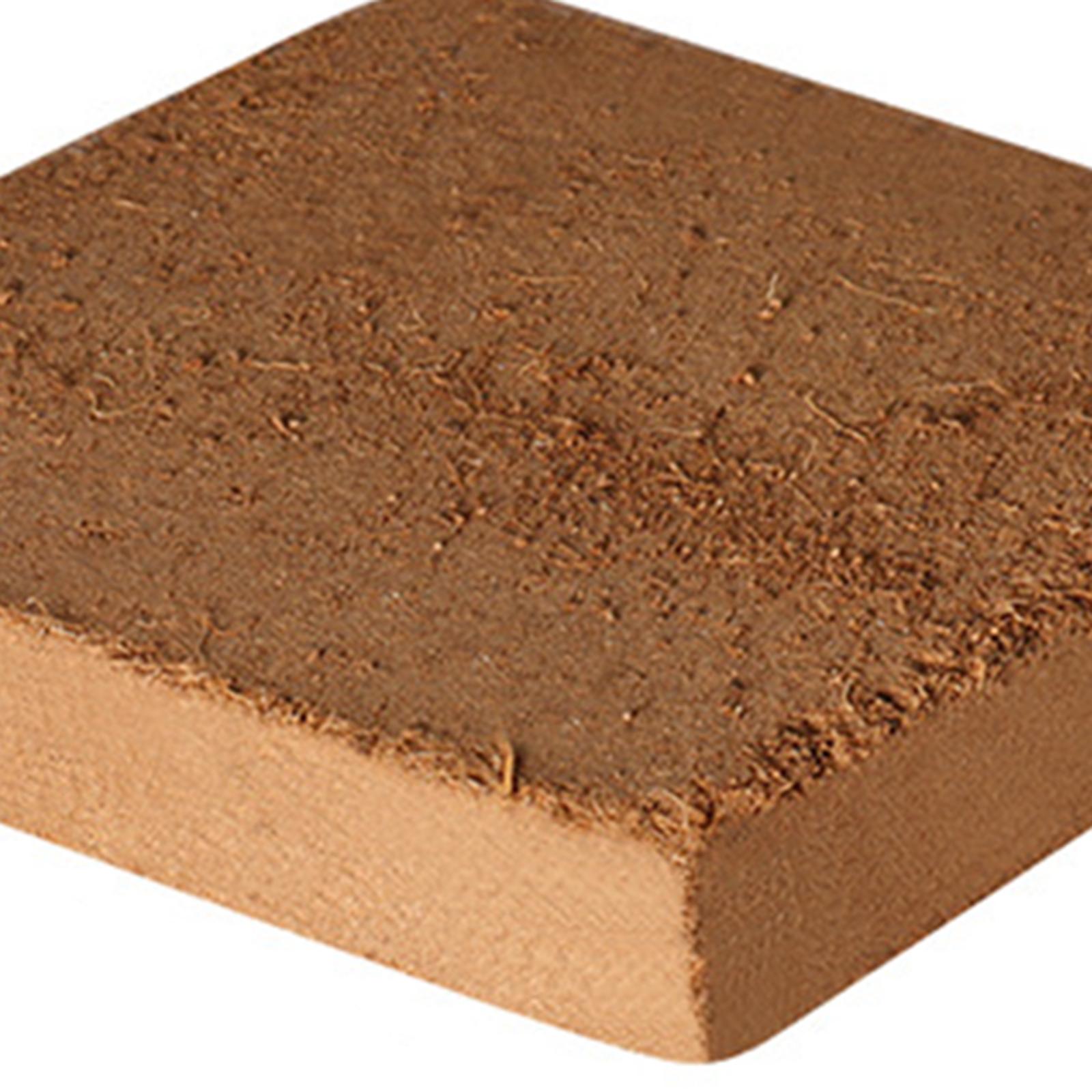 Soil Coconut Fibre Terrarium S - Substrate Coconut Fiber 리뷰 및 가격