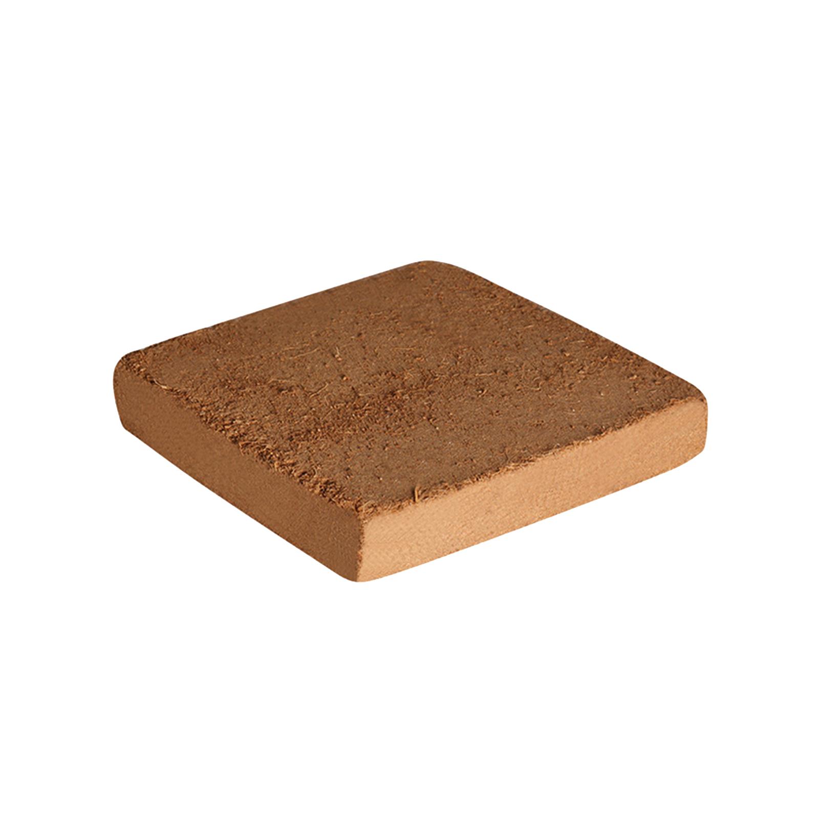 Soil Coconut Fibre Terrarium S - Substrate Coconut Fiber 리뷰 및 가격