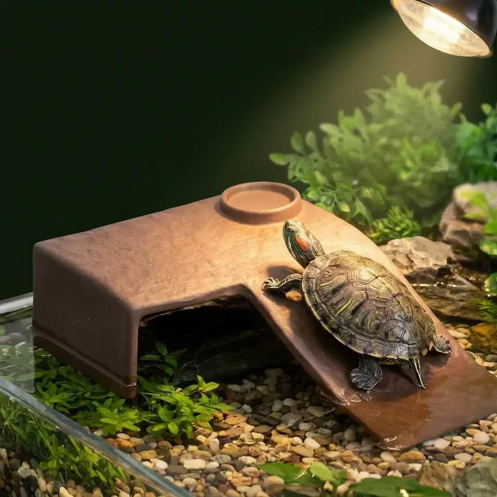 2 Pieces Turtle Basking Dock E - Hide Cave Ceramic 리뷰 및 가격