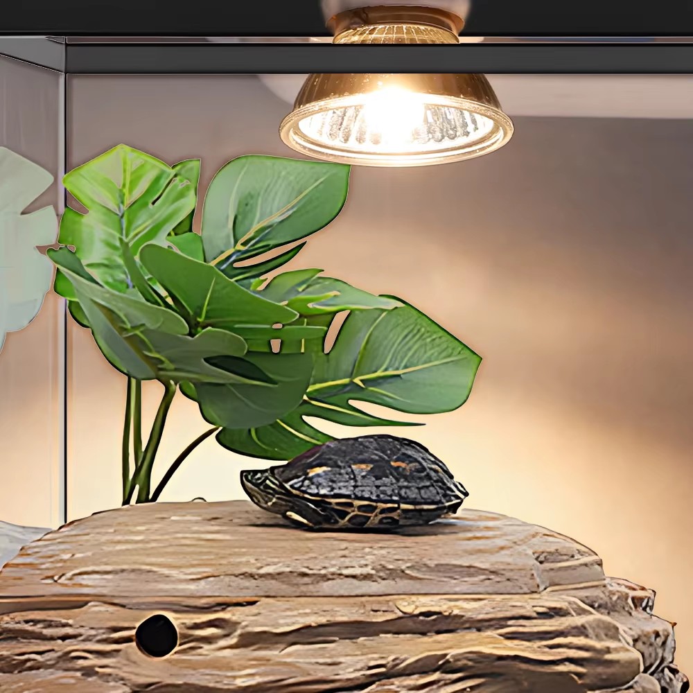 25W/75W/100W Full Spectrum UVA - Calcium Powder Reptile 리뷰 및 가격