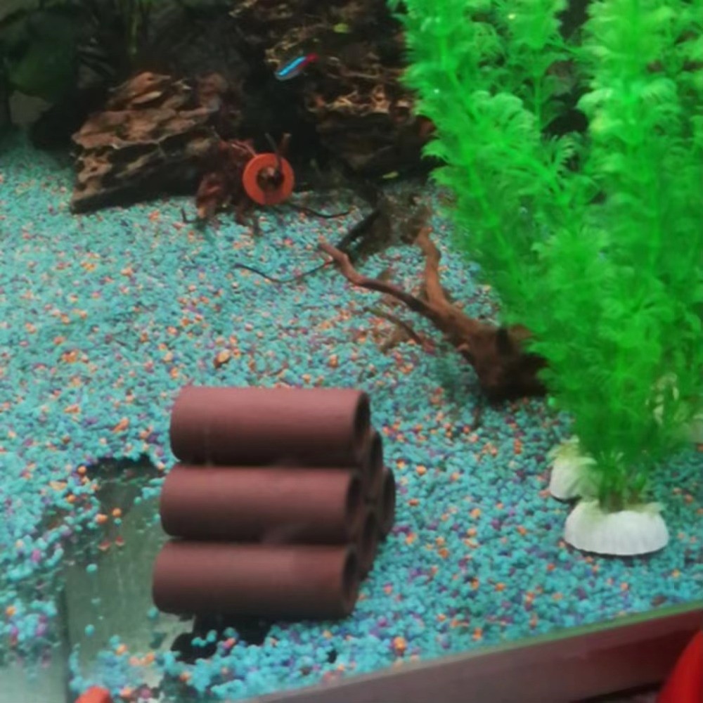 Playing Breeding Spawning Aqua - Hide Cave Ceramic 리뷰 및 가격