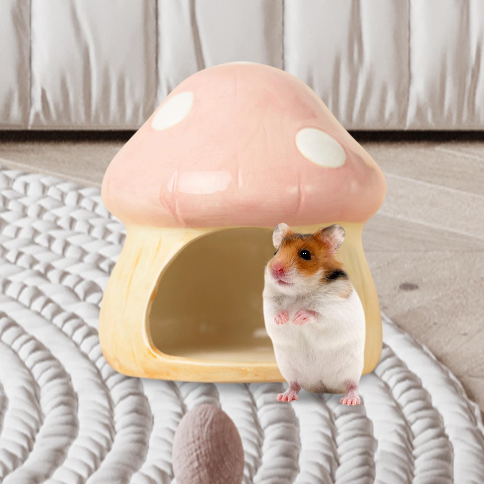 Ceramic Mushroom Hamster Hideo - Hide Cave Ceramic 리뷰 및 가격